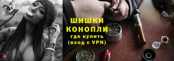 ПСИЛОЦИБИНОВЫЕ ГРИБЫ Арсеньев