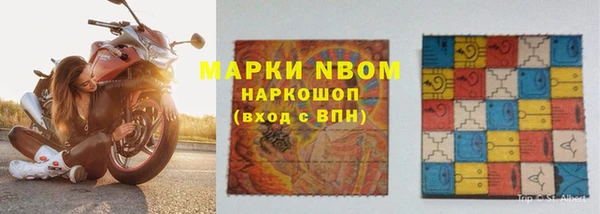 ешки Аркадак