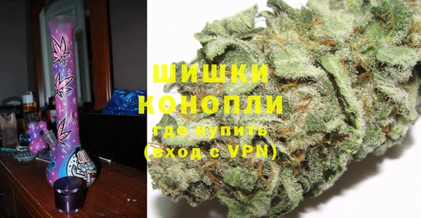 шишки Алексин