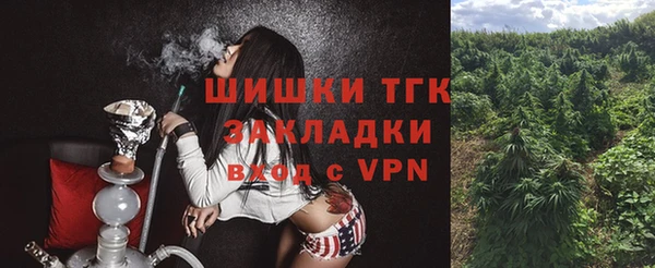 ПСИЛОЦИБИНОВЫЕ ГРИБЫ Арсеньев
