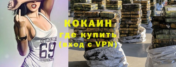 ПСИЛОЦИБИНОВЫЕ ГРИБЫ Арсеньев