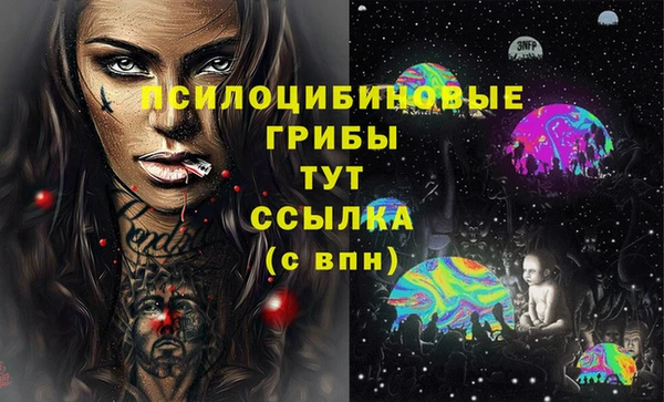 ешки Аркадак