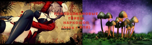 ПСИЛОЦИБИНОВЫЕ ГРИБЫ Арсеньев
